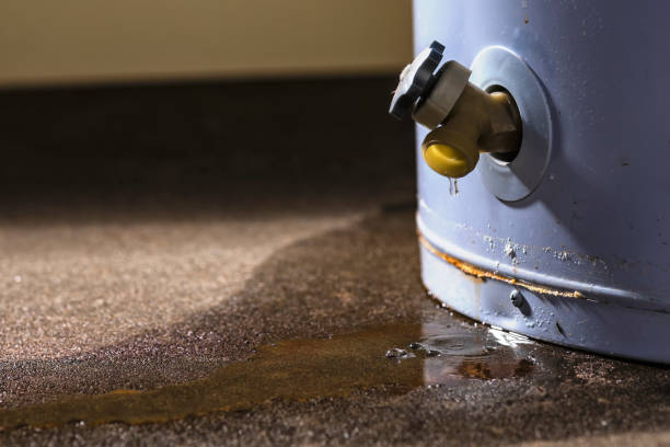 Best 24/7 water damage repair  in Crystal Lawns, IL