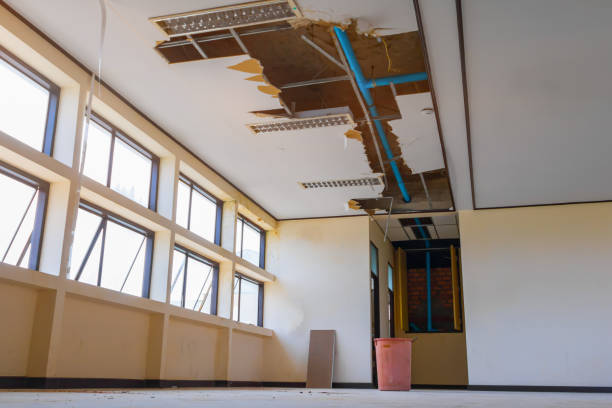 Best Flooded house restoration  in Crystal Lawns, IL
