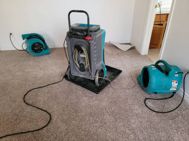 Best Water damage repair service  in Crystal Lawns, IL