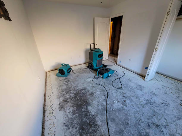 Best Flood restoration services  in Crystal Lawns, IL