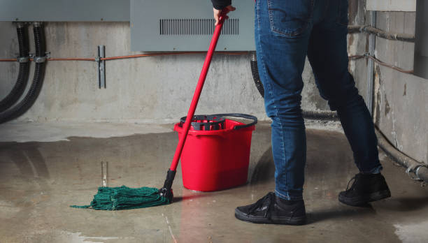 24/7 water damage repair in Crystal Lawns, IL