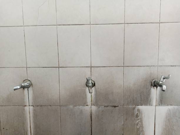 Best Mold removal after water damage  in Crystal Lawns, IL