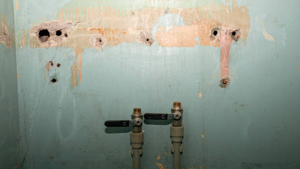 Best Sewage cleanup and water damage restoration  in Crystal Lawns, IL