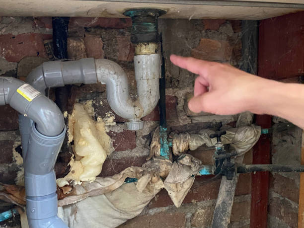 Best Local water damage restoration  in Crystal Lawns, IL