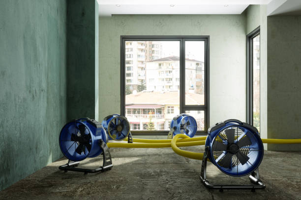 Best Residential water damage restoration  in Crystal Lawns, IL