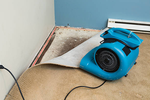 Best Fire Damage Restoration  in Crystal Lawns, IL